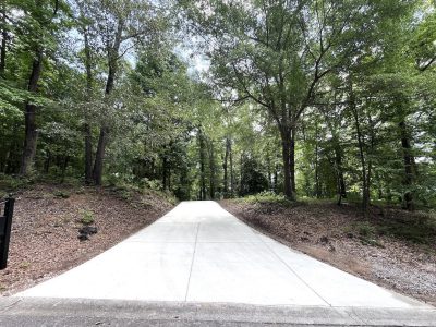 driveway going up hill in trees