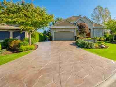 A driveway with trees and bushes around it